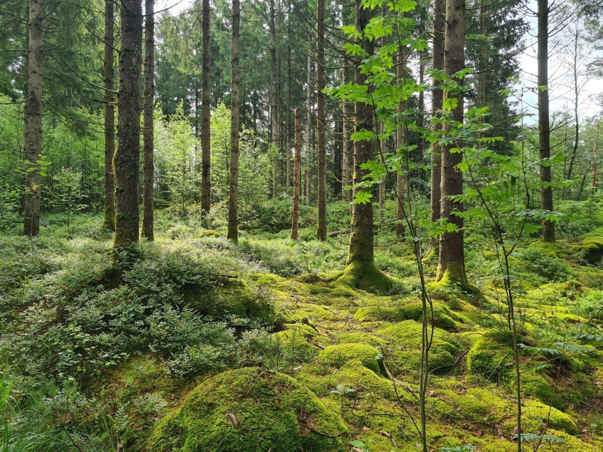 Stuga I Naturen Simlångsdalen Buitenkant foto