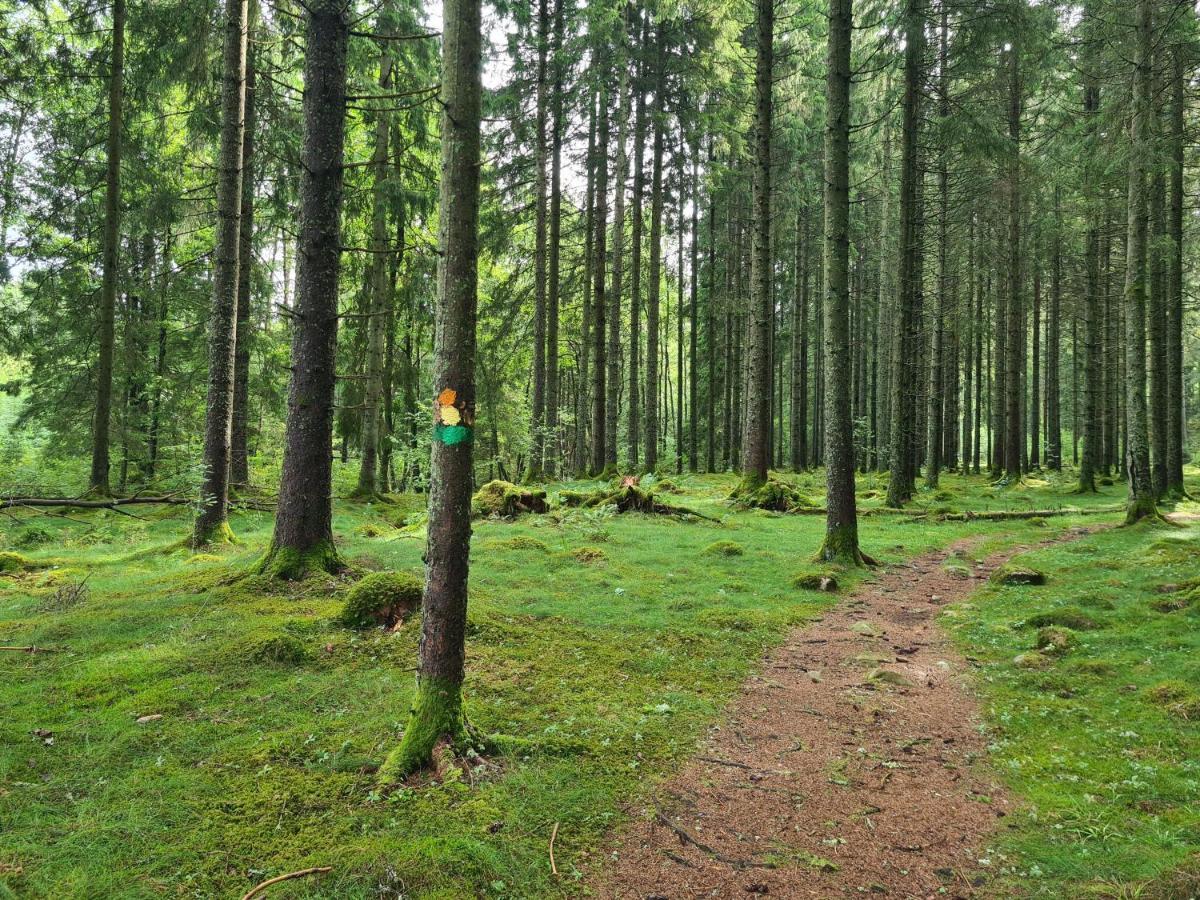 Stuga I Naturen Simlångsdalen Buitenkant foto