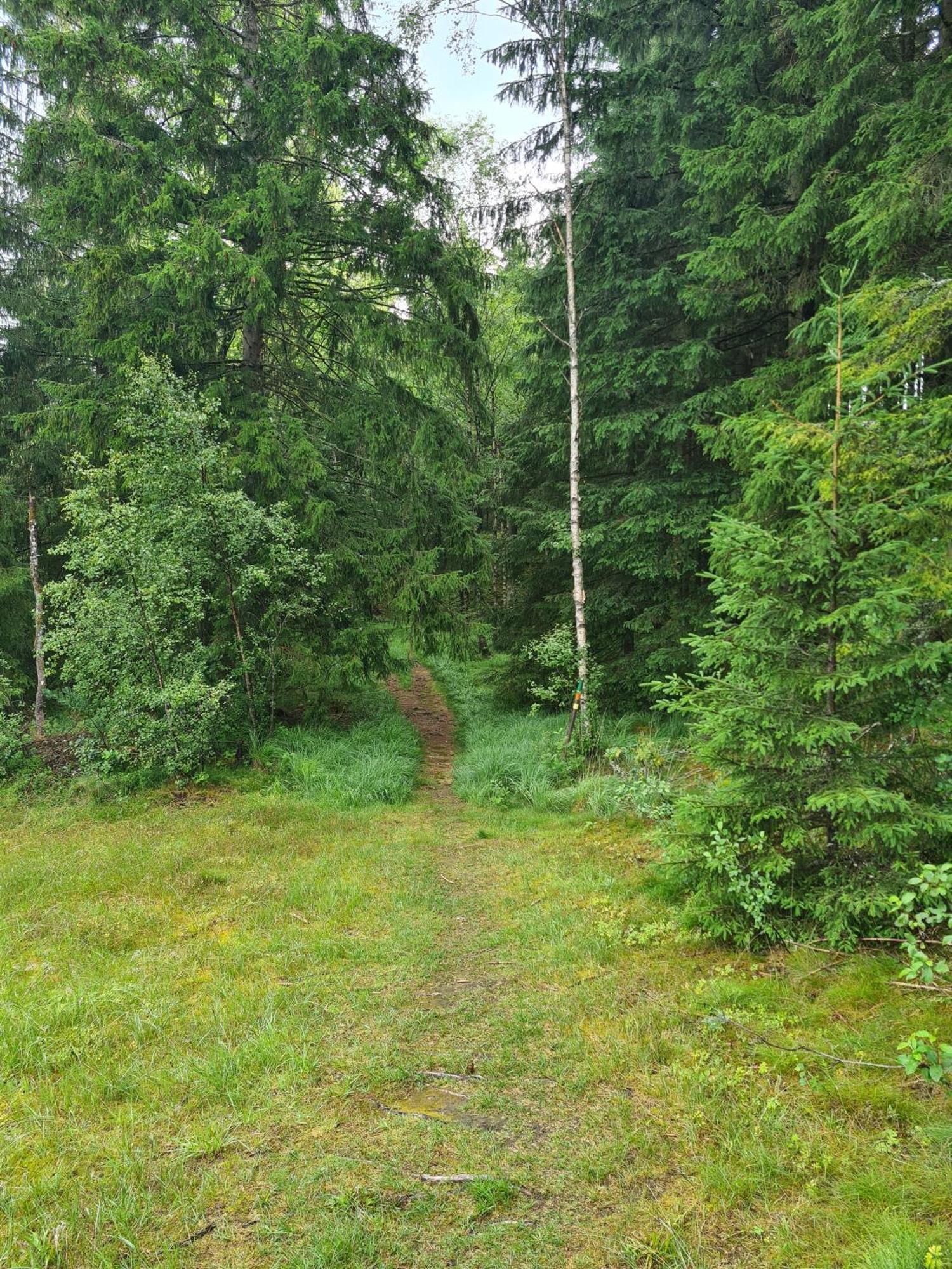 Stuga I Naturen Simlångsdalen Buitenkant foto